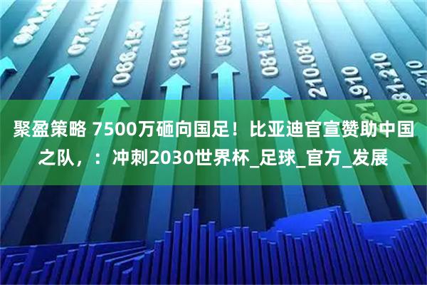 聚盈策略 7500万砸向国足！比亚迪官宣赞助中国之队，：冲刺2030世界杯_足球_官方_发展