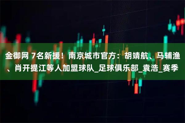 金御网 7名新援！南京城市官方：胡靖航、马辅渔、肖开提江等人加盟球队_足球俱乐部_袁浩_赛季
