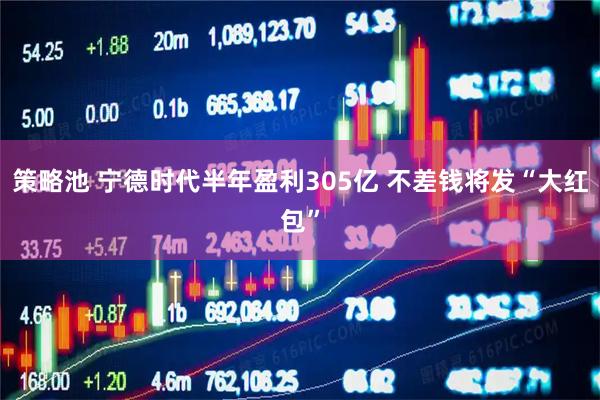 策略池 宁德时代半年盈利305亿 不差钱将发“大红包”