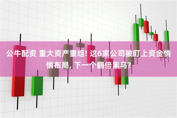 公牛配资 重大资产重组! 这6家公司被盯上资金悄悄布局, 下一个翻倍黑马?