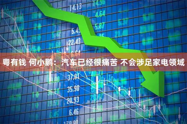 粤有钱 何小鹏：汽车已经很痛苦 不会涉足家电领域