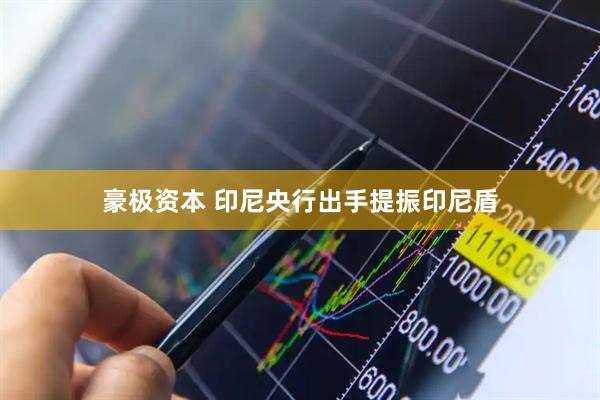 豪极资本 印尼央行出手提振印尼盾