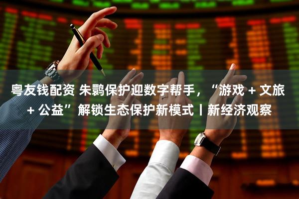 粤友钱配资 朱鹮保护迎数字帮手，“游戏 + 文旅 + 公益” 解锁生态保护新模式丨新经济观察